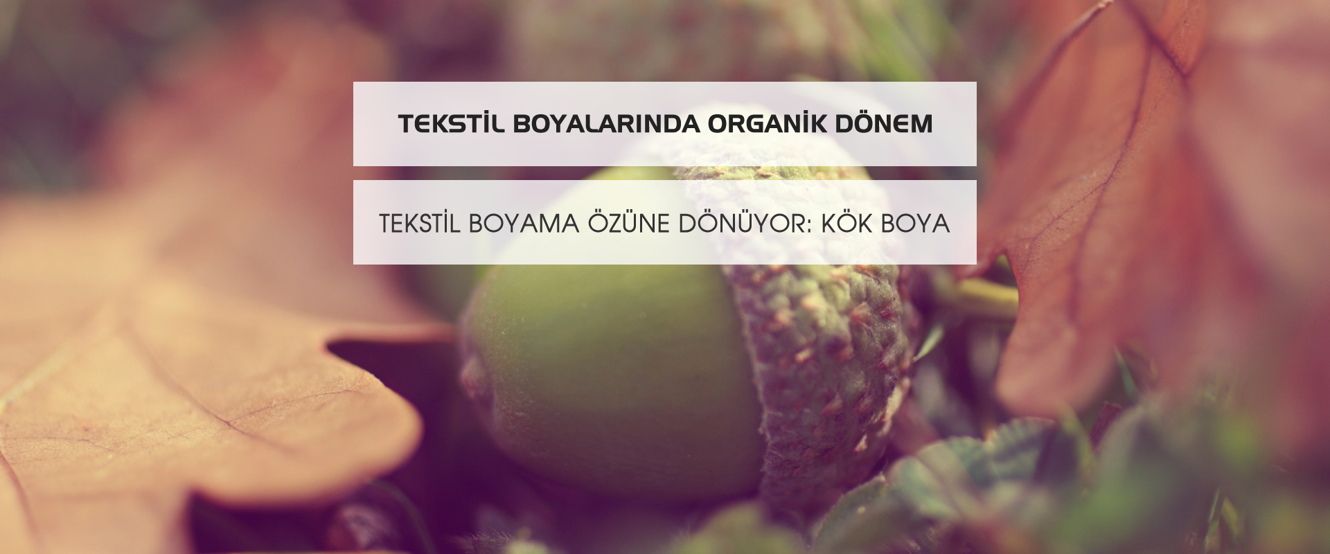 Kahramanmaraş ta bir ilk kök boya
